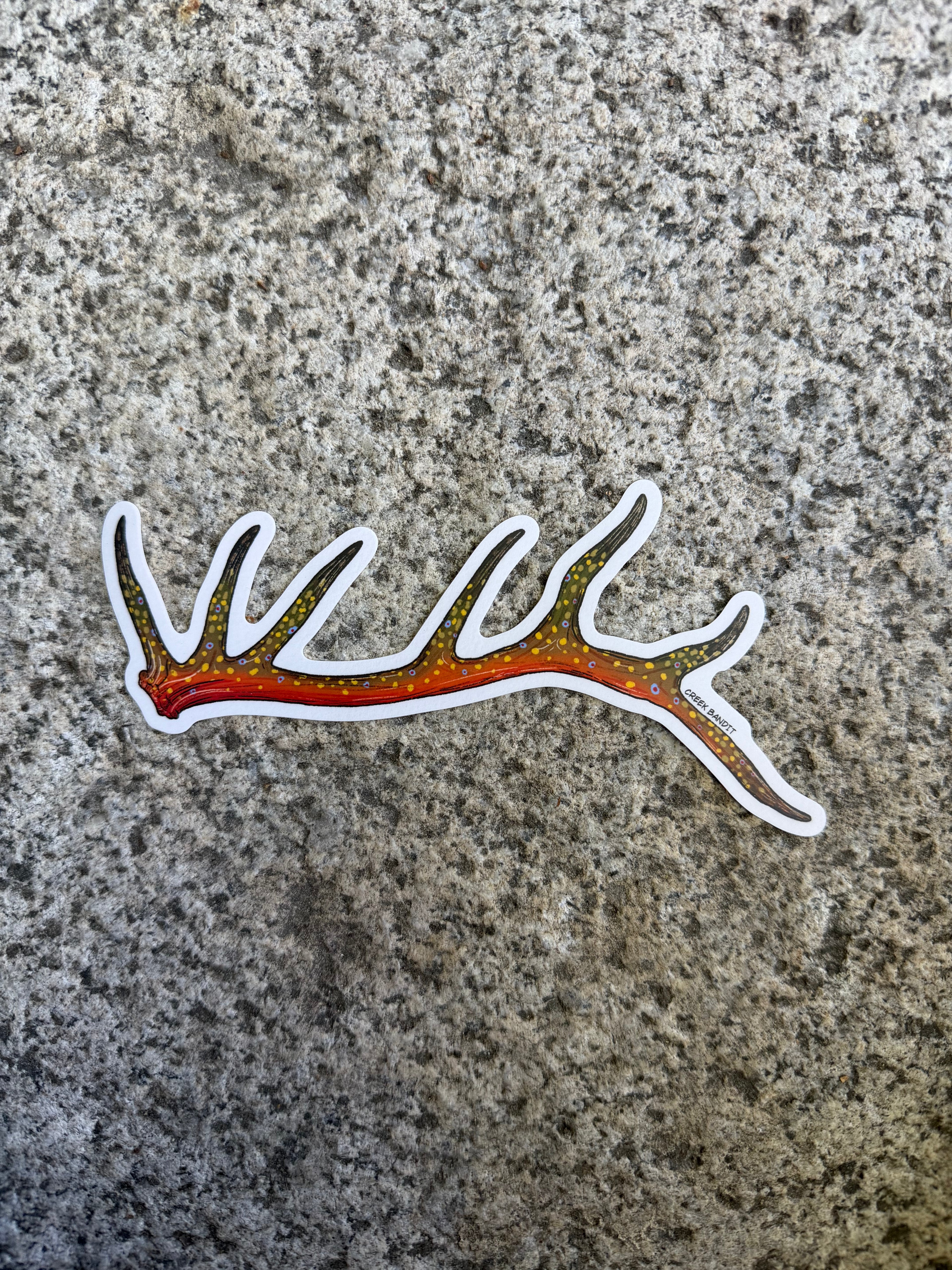 Brook Trout Elk Antler Decal