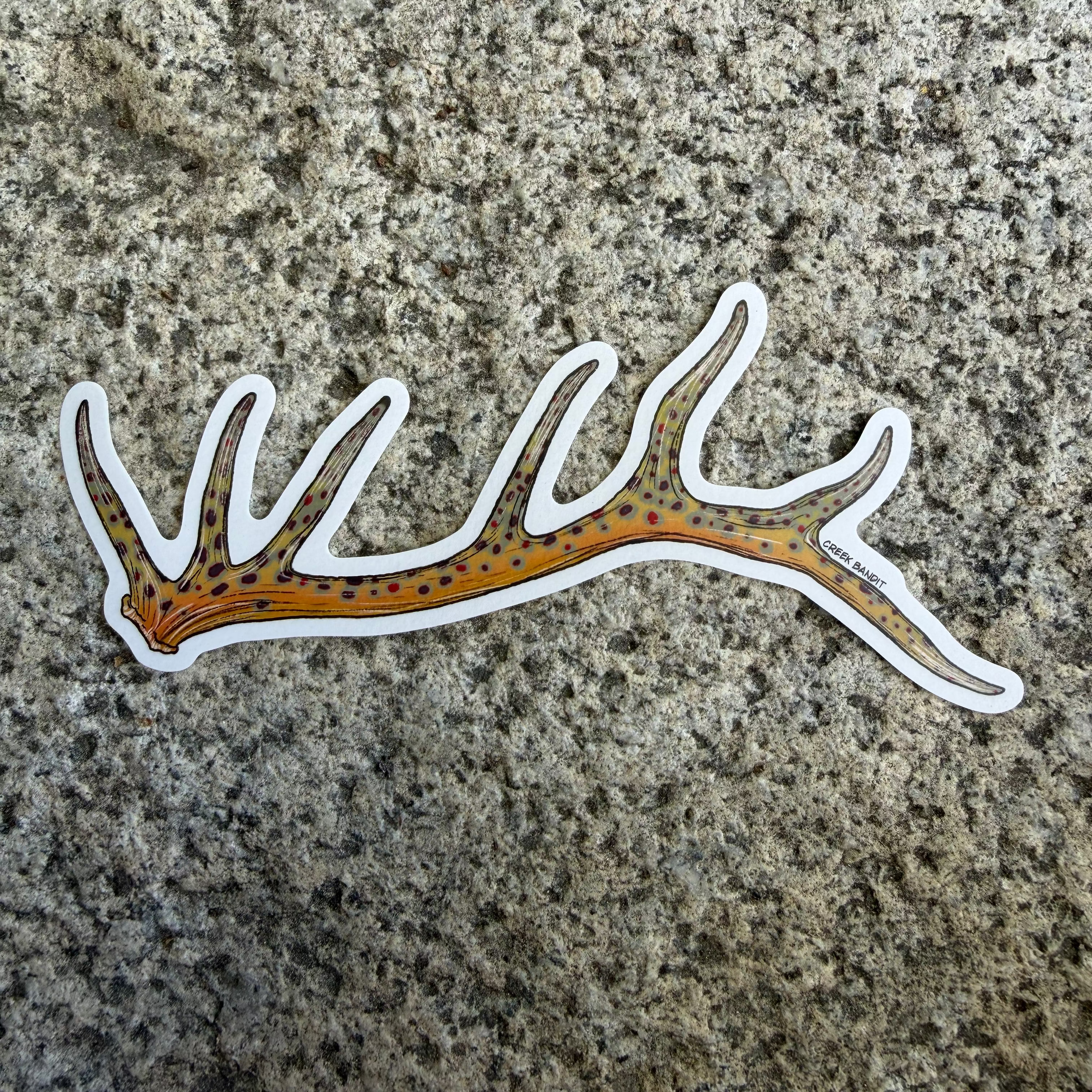 Brown Trout Elk Antler Decal