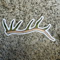 Rainbow Trout Elk Antler Decal