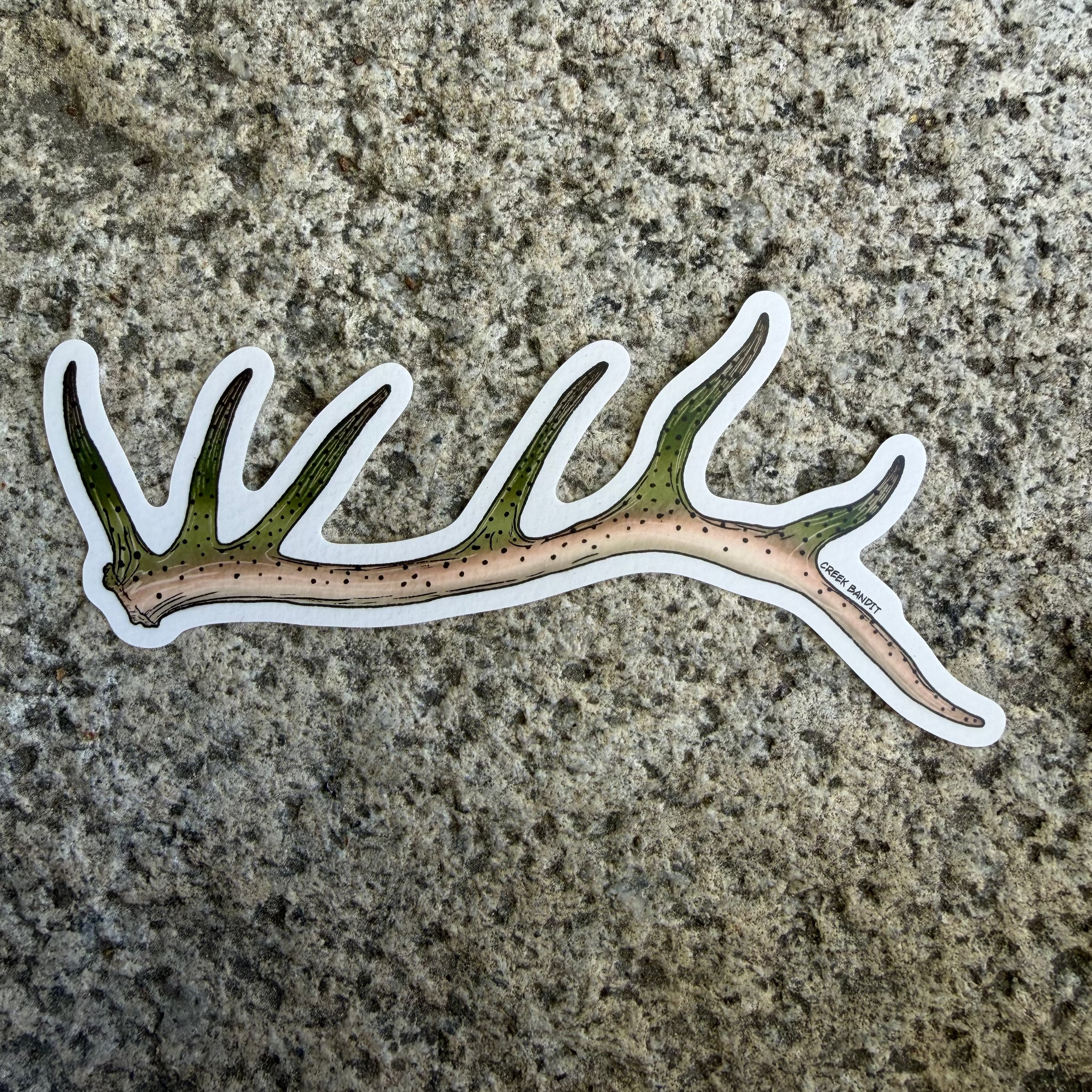 Rainbow Trout Elk Antler Decal